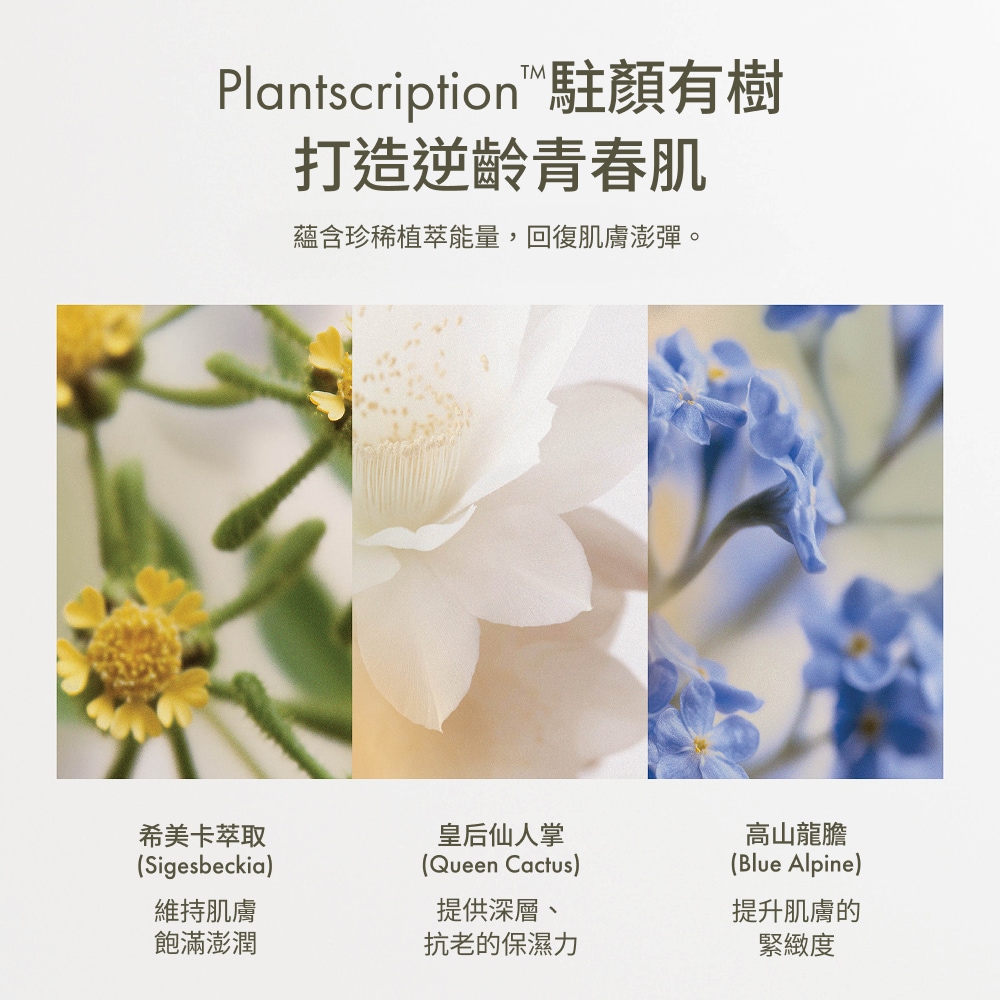 Plantscription™ Triple-Action Youth Cream Plantscription™ 駐顏有樹三倍逆齡霜