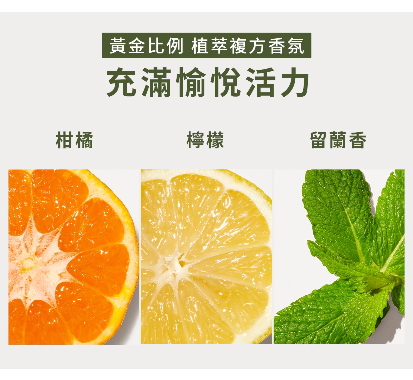 品木宣言 活力柑橘護手霜 


 