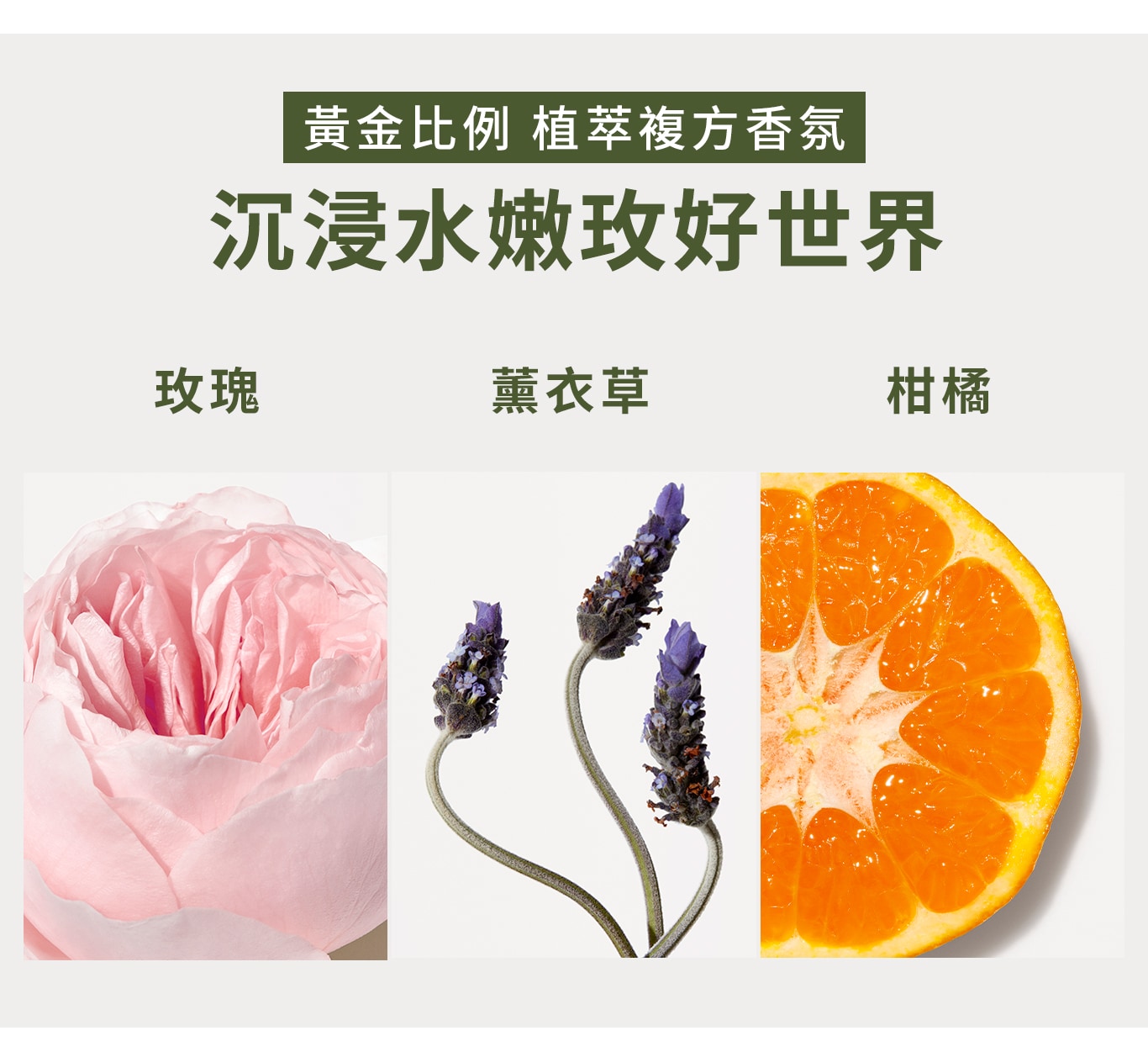 品木宣言 植感玫瑰護手霜 


 